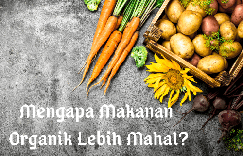 Mengapa Makanan Organik Lebih Mahal? | Eviindrawanto.Com